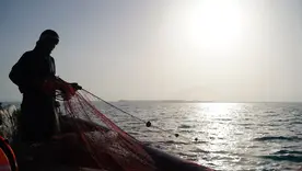 Pescador artesanal colombiano