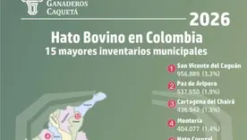Municipios ganaderos