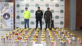 Incautan 60 kilos de marihuana en el Aeropuerto El Dorado