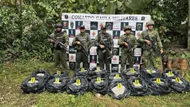 55 toneladas de cocaina incautadas