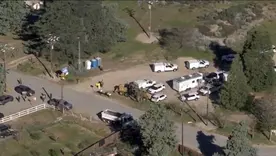  Autoridades continúan evaluando el estado de los animales y no descartan nuevas acciones judiciales.