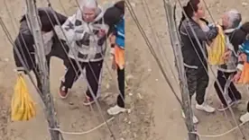 Adulta mayor es golpeada por sus cuidadoras en Bogotá 