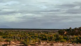 fenómeno de El Niño 2026
