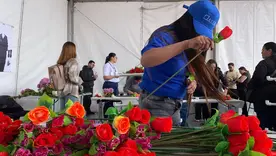 Flores colombianas de exportación