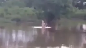 Hipo Barranca