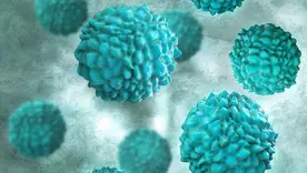 Norovirus 