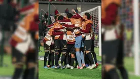 Tolima semis