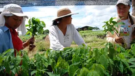 Mujer rural 26