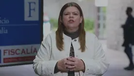 Fiscalía elecciones