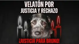 bruno perro