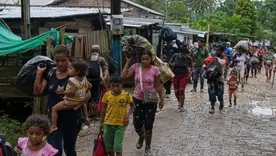 desplazamiento bajo cauca