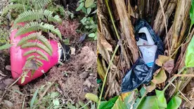 Destruyen explosivos de las FARC