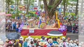 medidas fiestas Tolima procuraduría