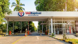 Uniespinal