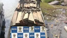 incautan madera ilegal en chocó