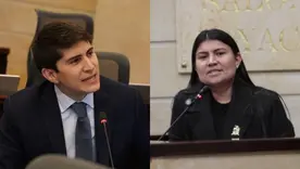 Wadith Manzur y Karen Manrique piden posesionarse virtualmente