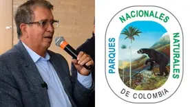 Fabio Arjona alerta por aumento de la deforestación en Parques Nacionales