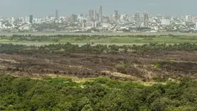 Controlan incendio forestal en el Vía Parque Isla de Salamanca 