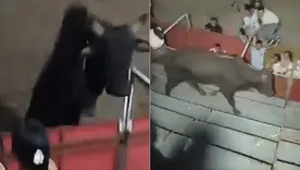 Toro saltó a las graderías y dejó varios heridos