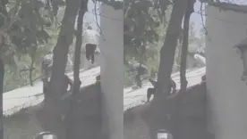 Fuga de presos en Popayán