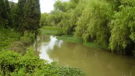 Reserva de agua