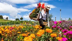 Feria Flores 2026
