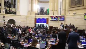 Senado II-2026