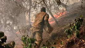 Incendio forestal en la vereda La Peña, de Abejorral, Antioquia