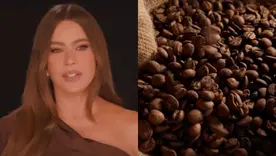 Sofía Vergara se une a la Federación de Cafeteros para ayudar a familias afectadas por el terremoto