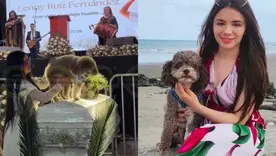 Llevaron a Salomón a las exequias de su dueña, la abogada amante de los animales que murió aferrada a él