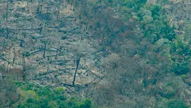 Deforestación en Colombia 26