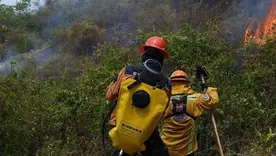 Incendios forestales en Tolima: 84 % han sido controlados y siete siguen activos Tolima mantiene siete incendios 