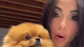 Karina García desata indignación por pedir que devolvieran un perro porque “no era original”
