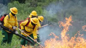 Incendios forestales Colombia ago 26