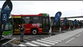 Nuevos buses TM
