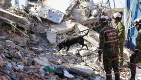 EJC terremoto
