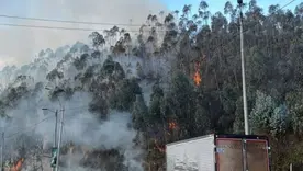 Incendio forestal en la salida sur de Bogotá 