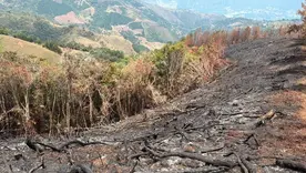 MinAmbiente suspende quemas abiertas controladas 