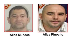 Alias 'Muñeca' y alias 'Pinocho' de las ACSN