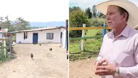 Nueve perros rescatados murieron en una finca 