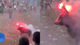 Prendieron fuego a los cuernos de un toro en corralejas de Sabanalarga