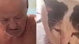 Caso de presunto abuso sexual contra un felino en Puerto Wilches genera consternación; autoridades rescataron 24 animales