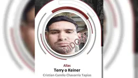 Alias Terry