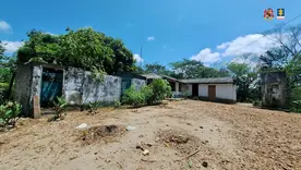 Finca Piedra Linda