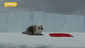 Sealook
