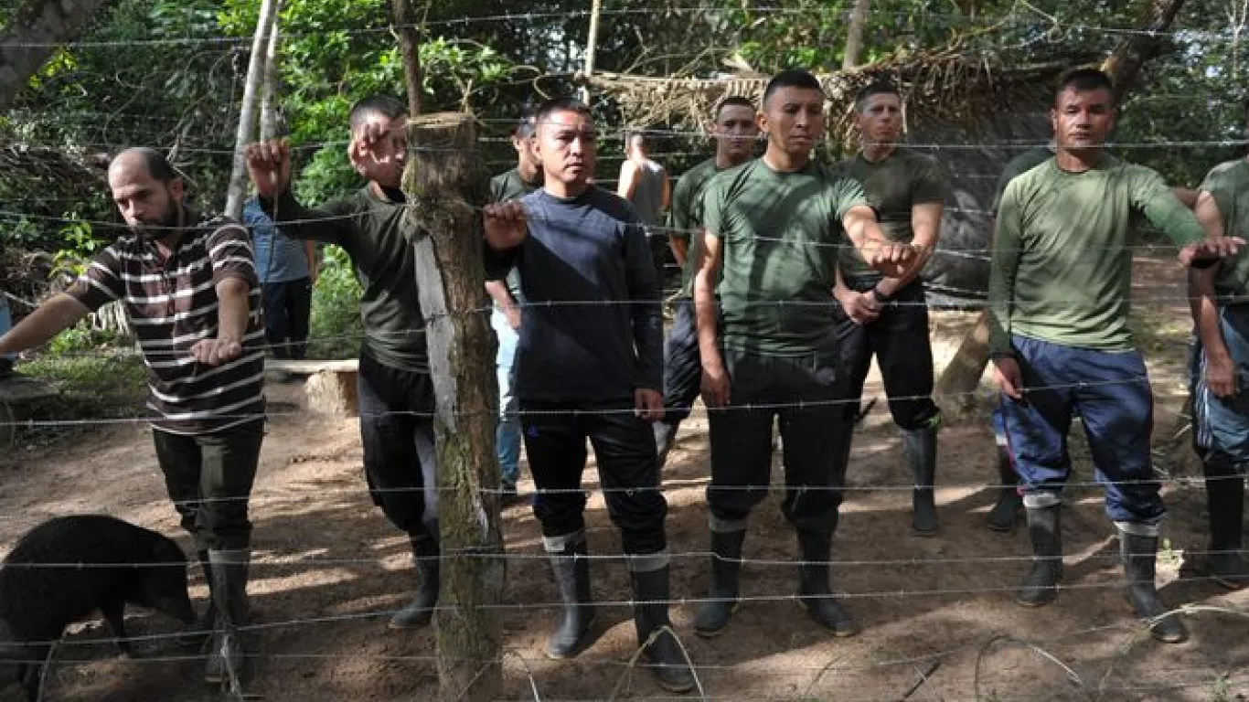 Las Farc aceptan ante la JEP que daban más agua a los cerdos que a los mismos secuestrados