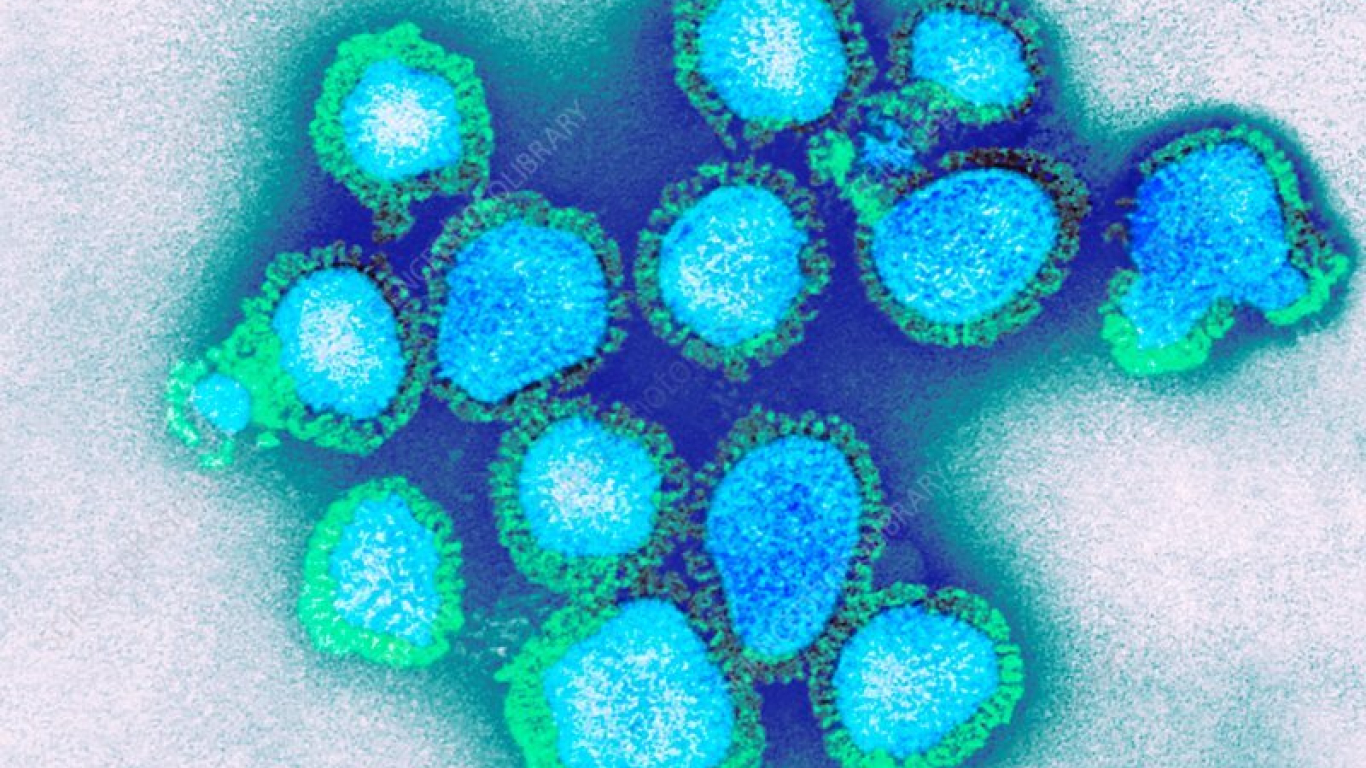 H3N2