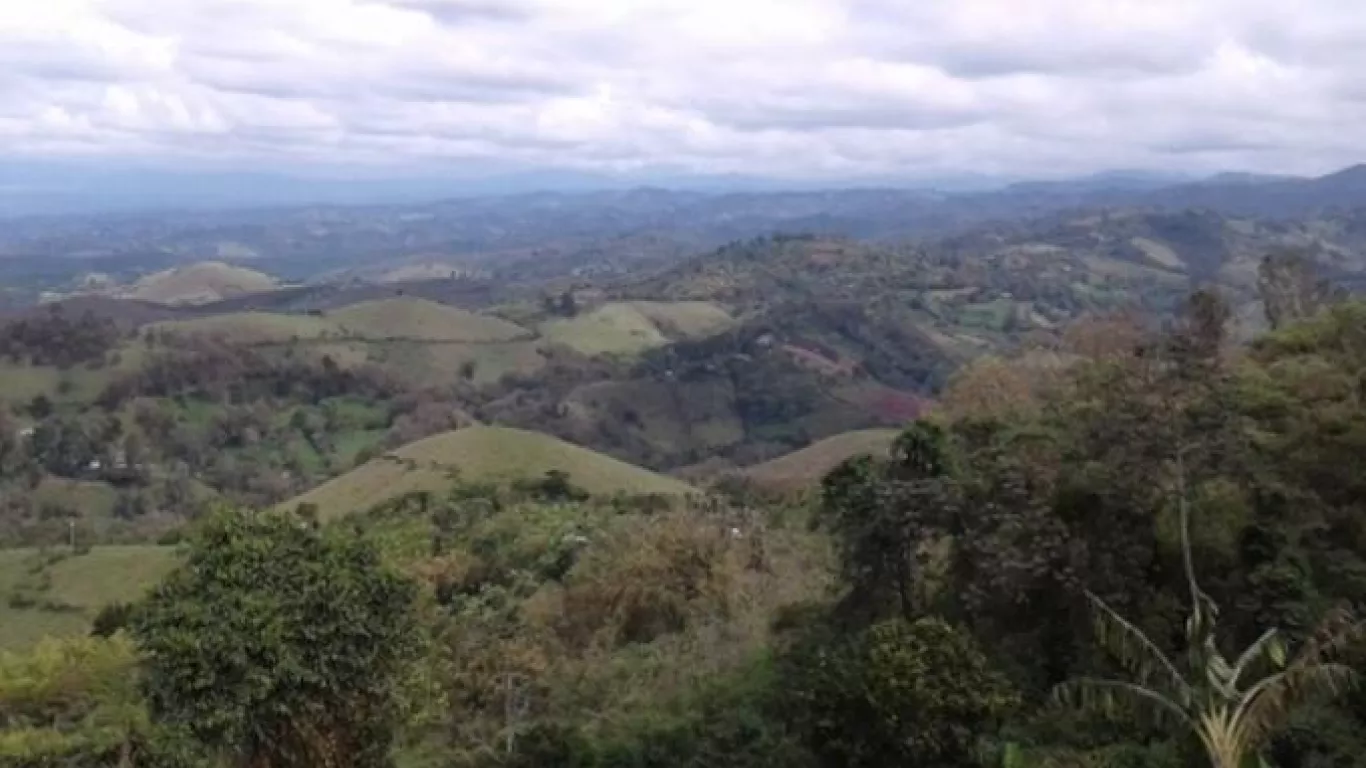 Avioneta desaparecida en Vaupés esta siendo buscada por los organismos