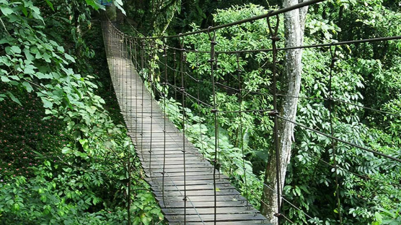 Puente colgante que colapsó en la vereda El Carmen de Villavicencio