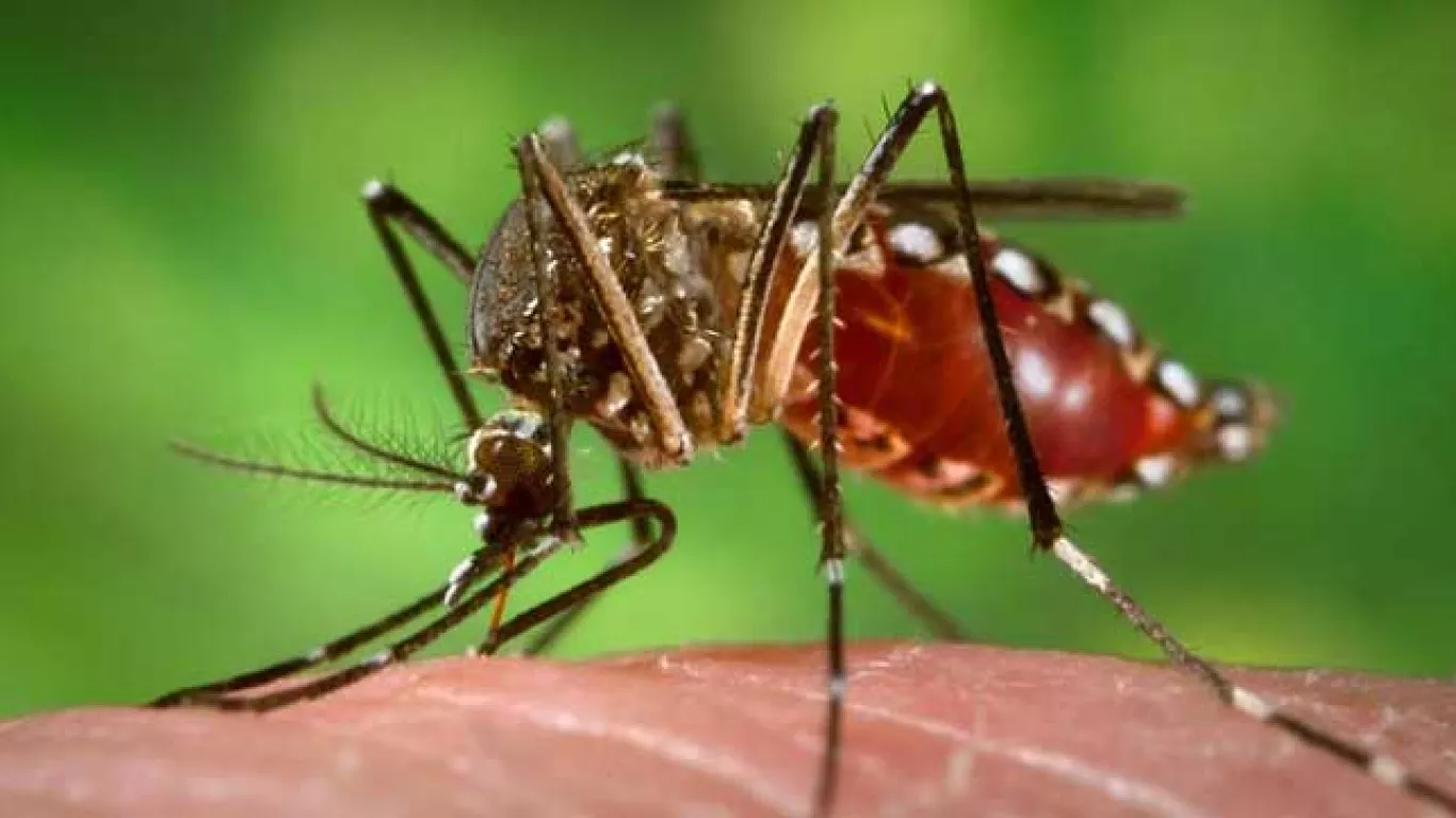 Dengue en Riohacha